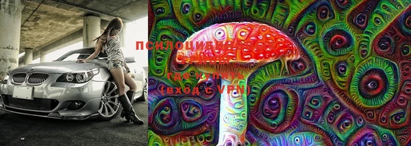 МДПВ Магадан