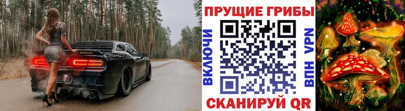 как найти наркотики Красный Кут hydra зеркало Псилоцибиновые грибы Psilocybine cubensis