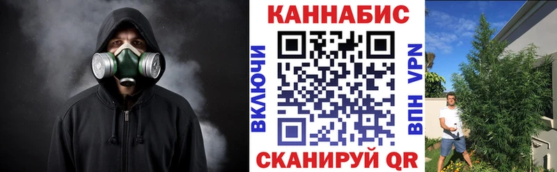 мега онион  дарнет шоп  Красный Кут  Шишки марихуана сатива 